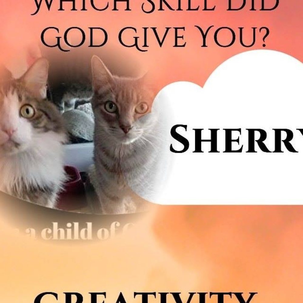 Meet your Posher, Sherry